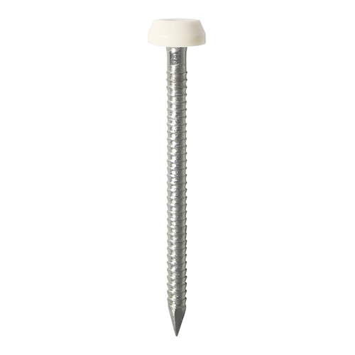 30x1.9mm Polytop Pins