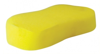 Sponges