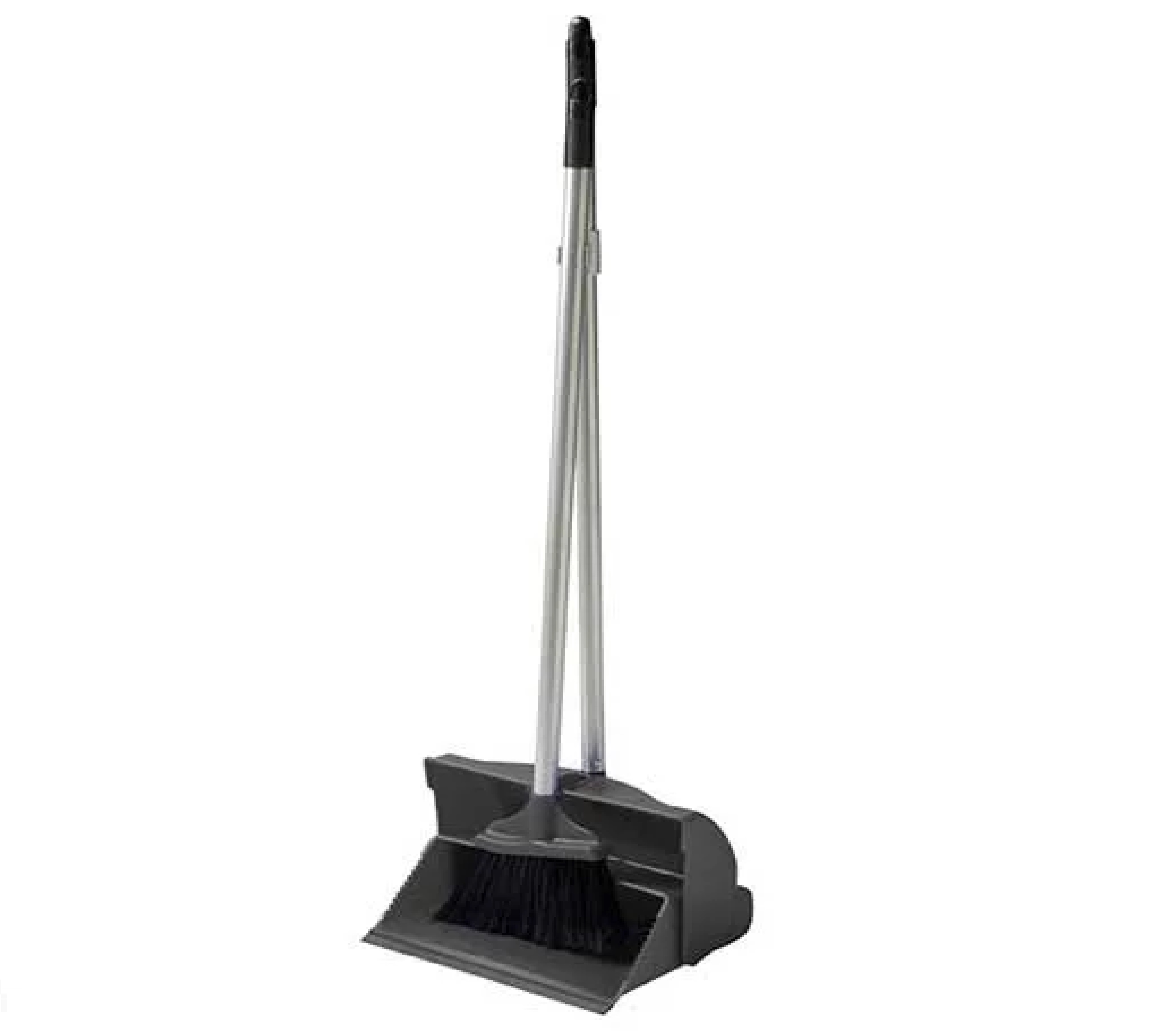 Lobby Dustpan & Brush Set - Long Handle