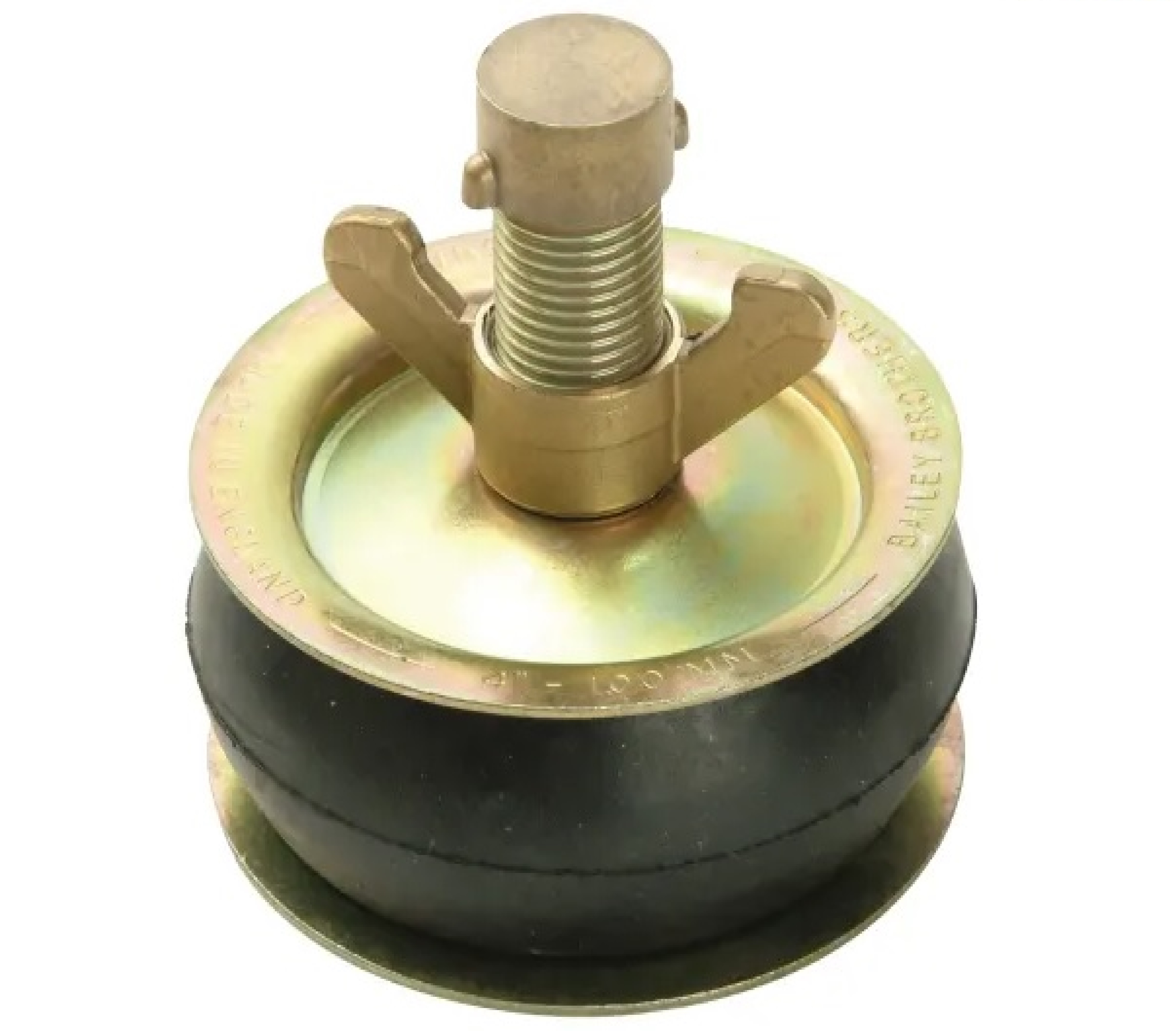 DRAIN TEST PLUG C/W BRASS CAP