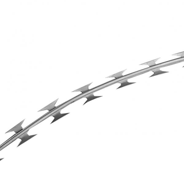Razor Barbed Tape / Wire - 50m B50